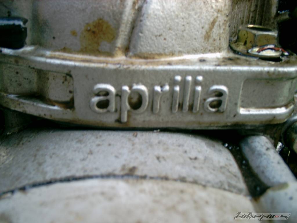 Photo 243259