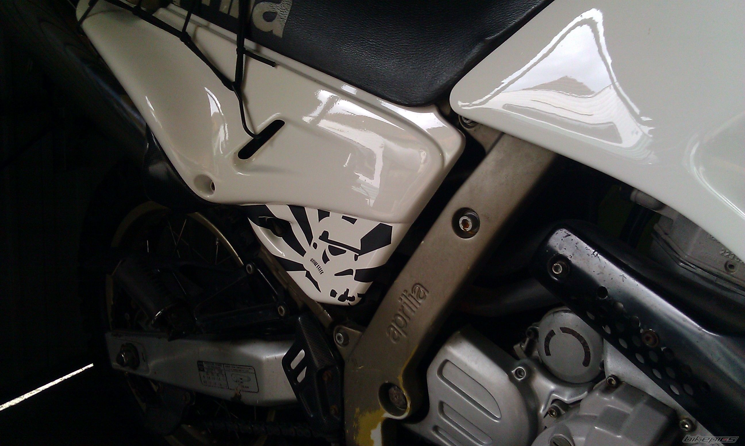 Photo 2432593