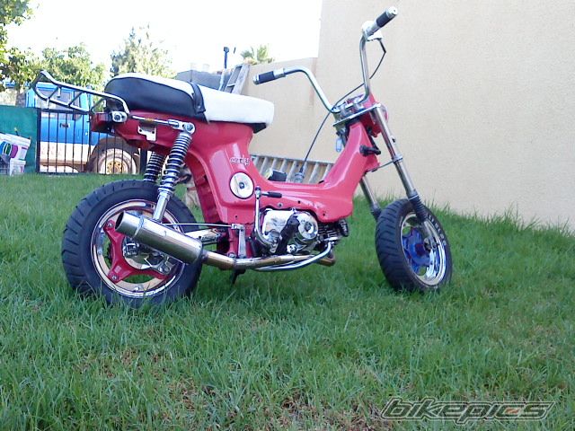 Photo 2432634