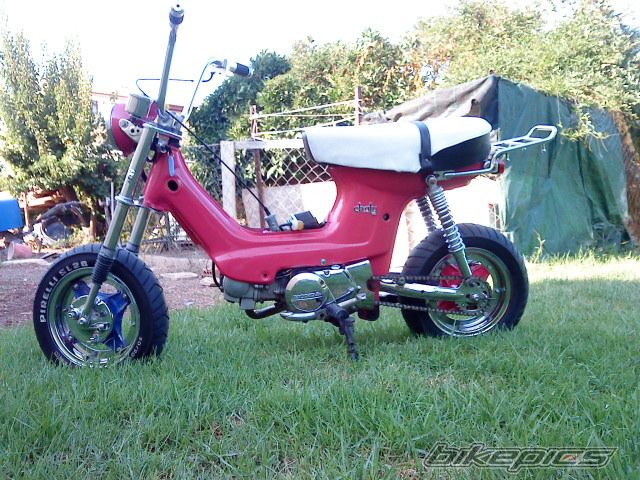 Photo 2432636