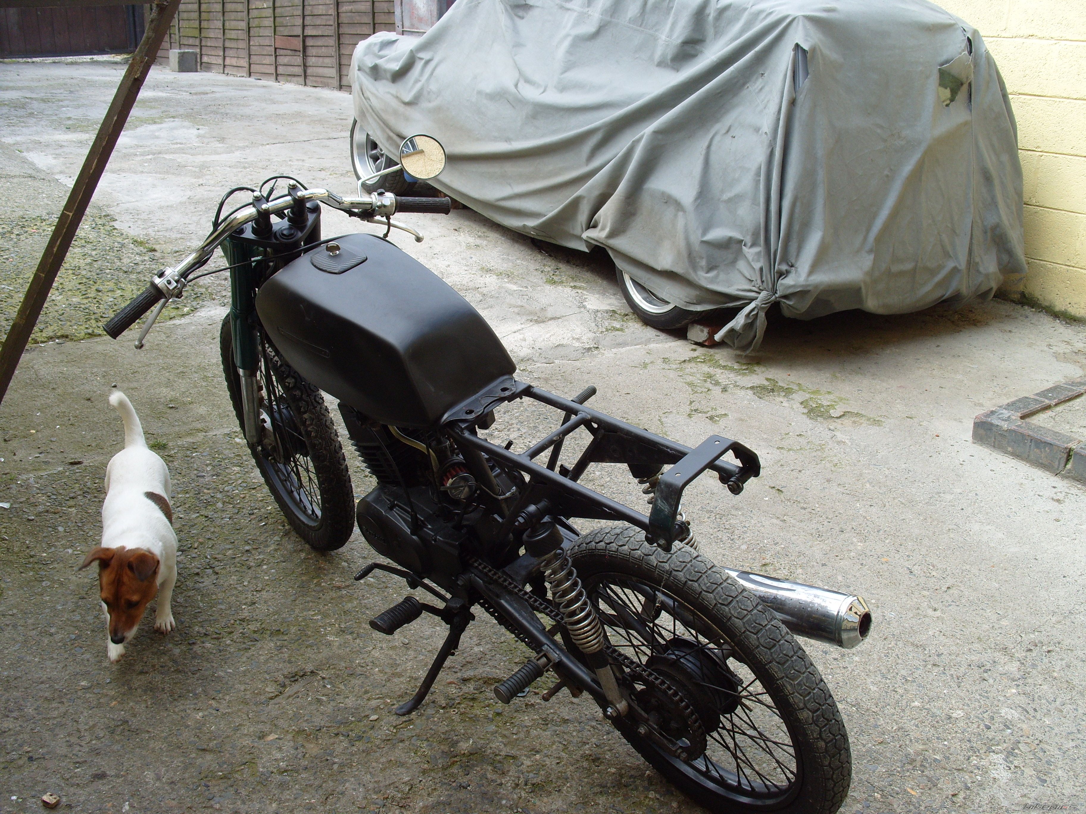 Photo 2432639
