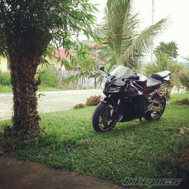 Photo 2432779