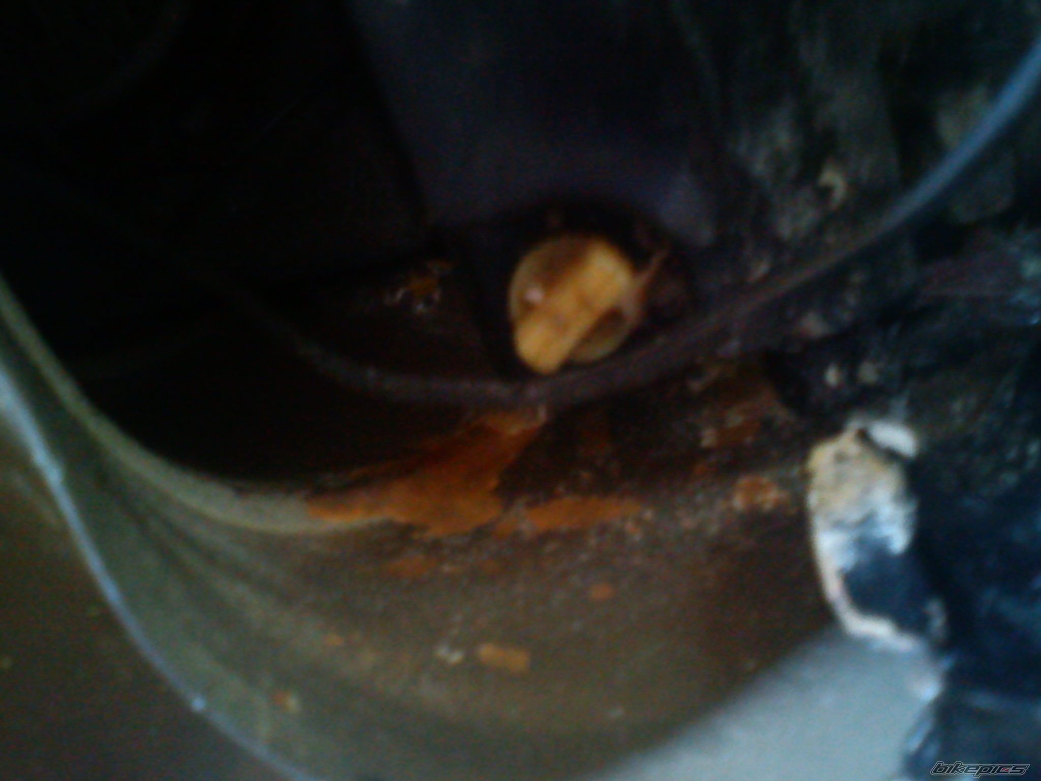 Photo 2432928
