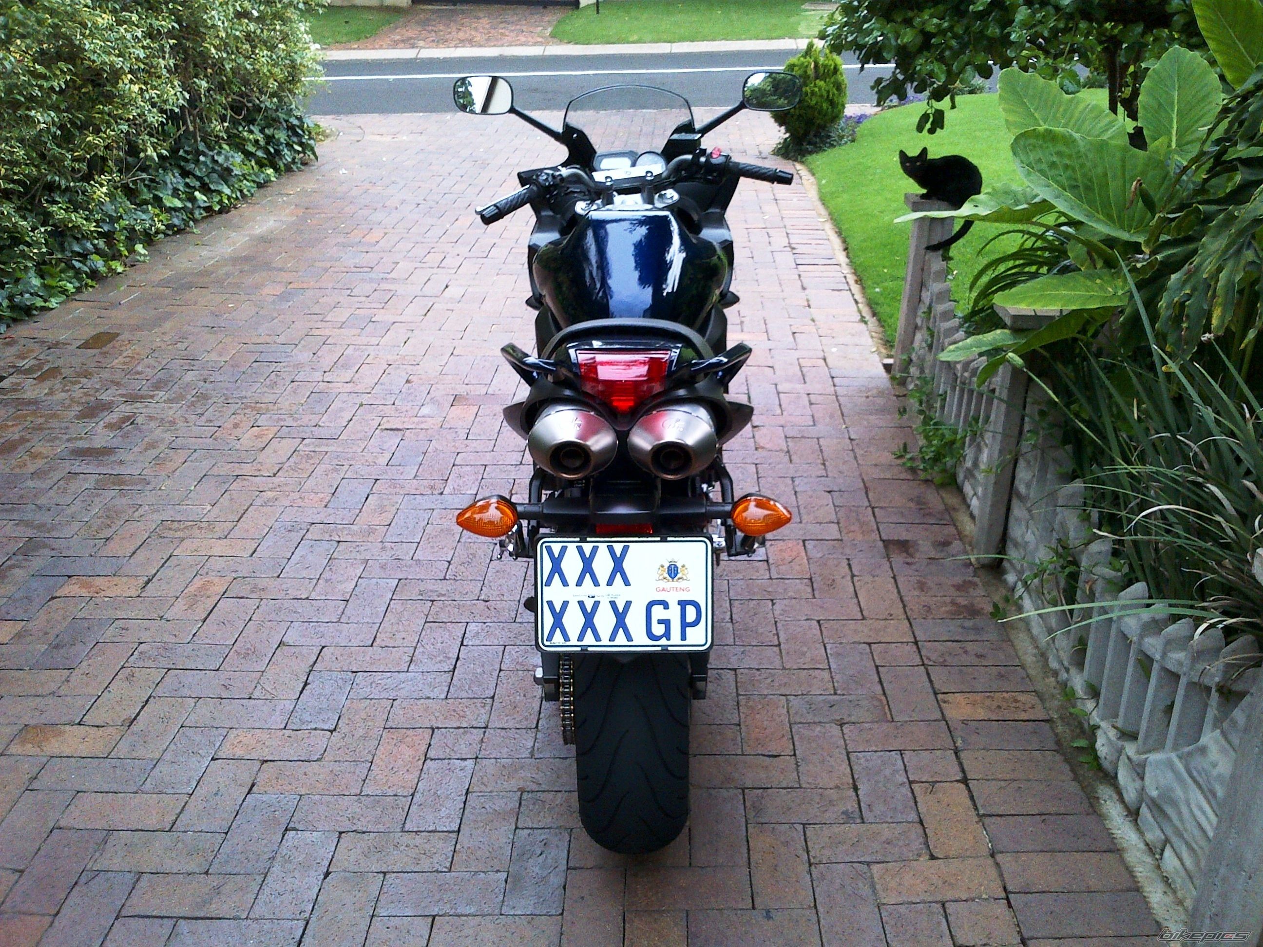Photo 2433074