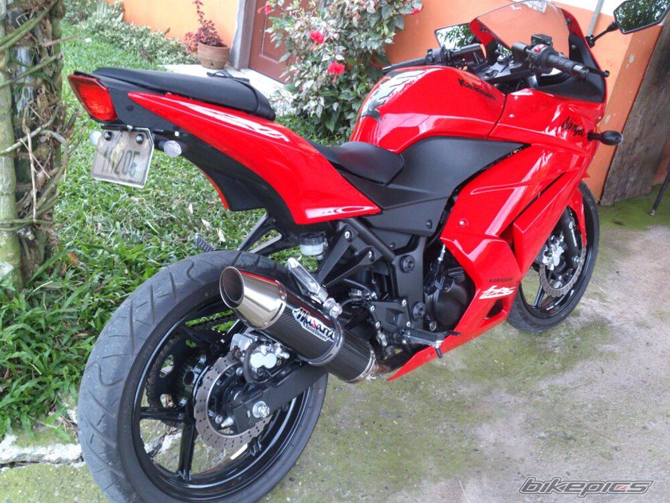 Photo 2433077