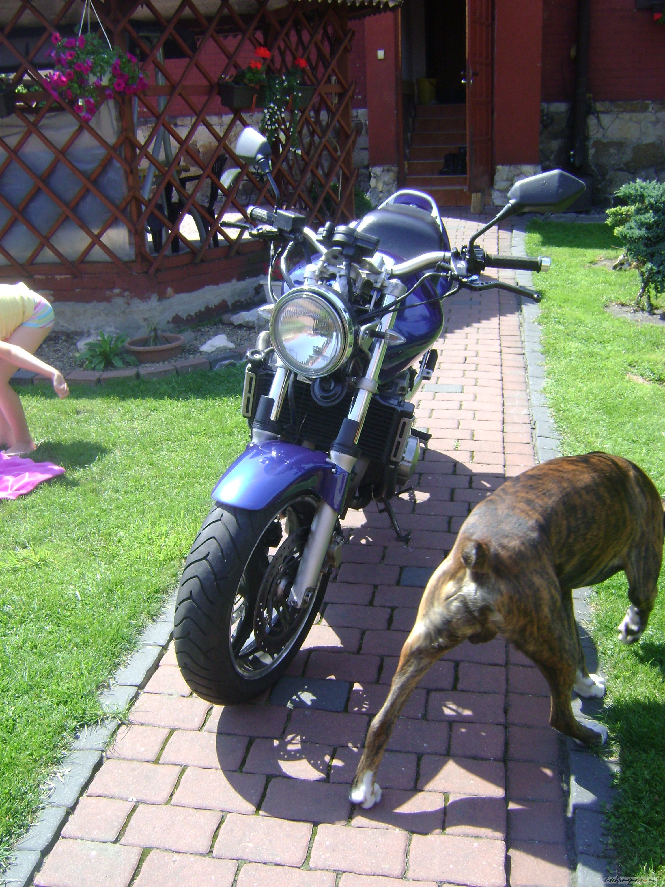 Bike Photo 2433091