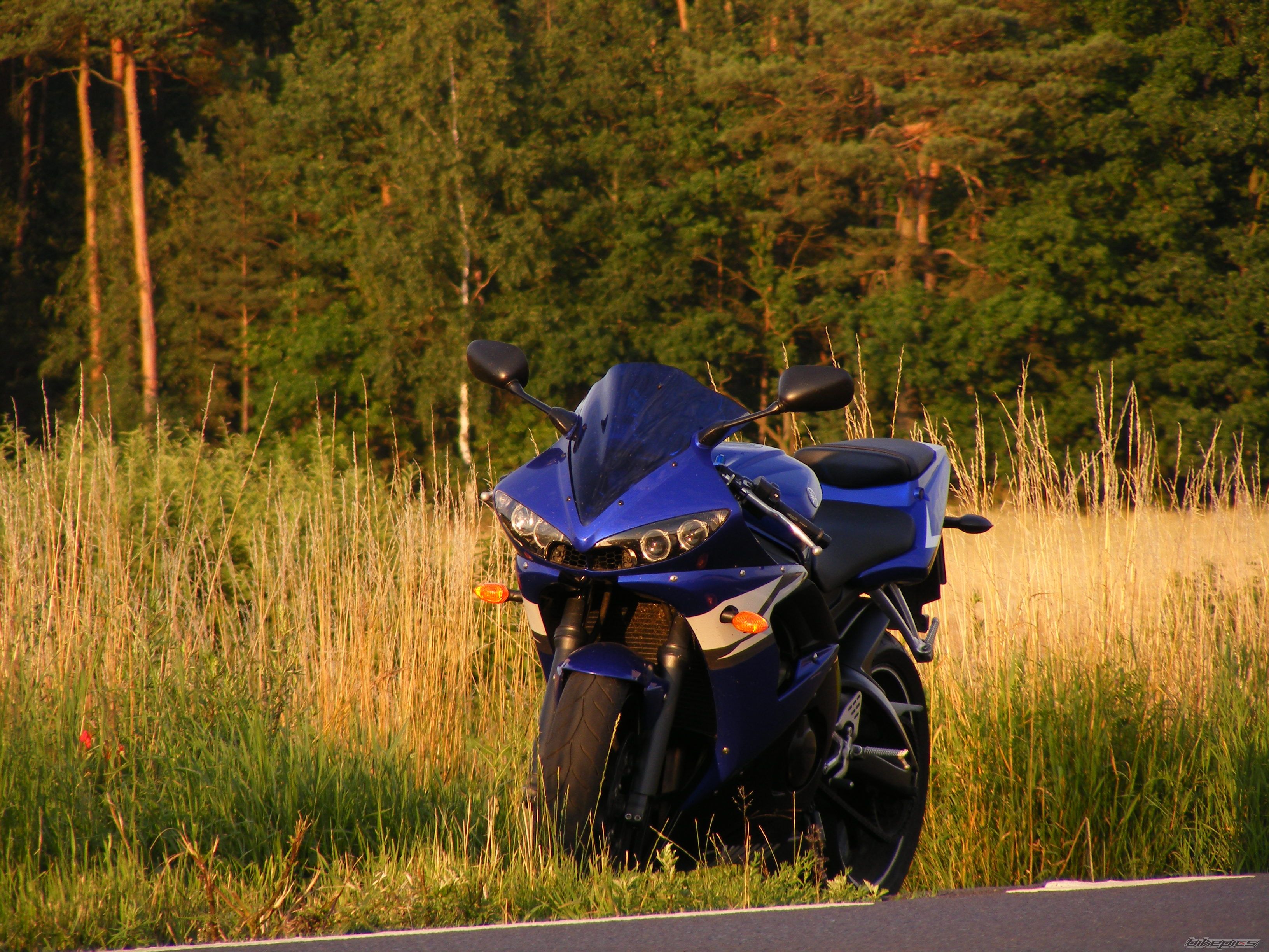 Photo 2433187