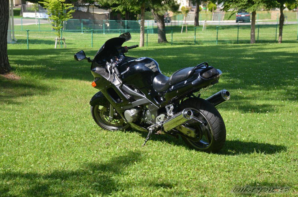 Photo 2433246