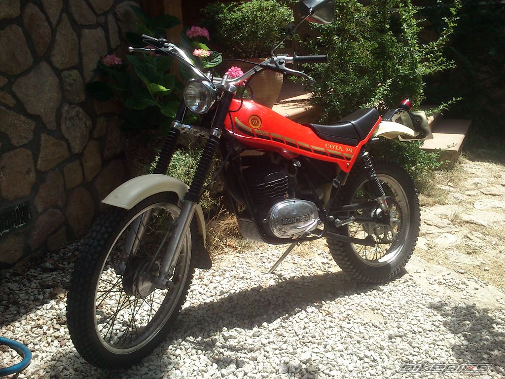 Cota 74