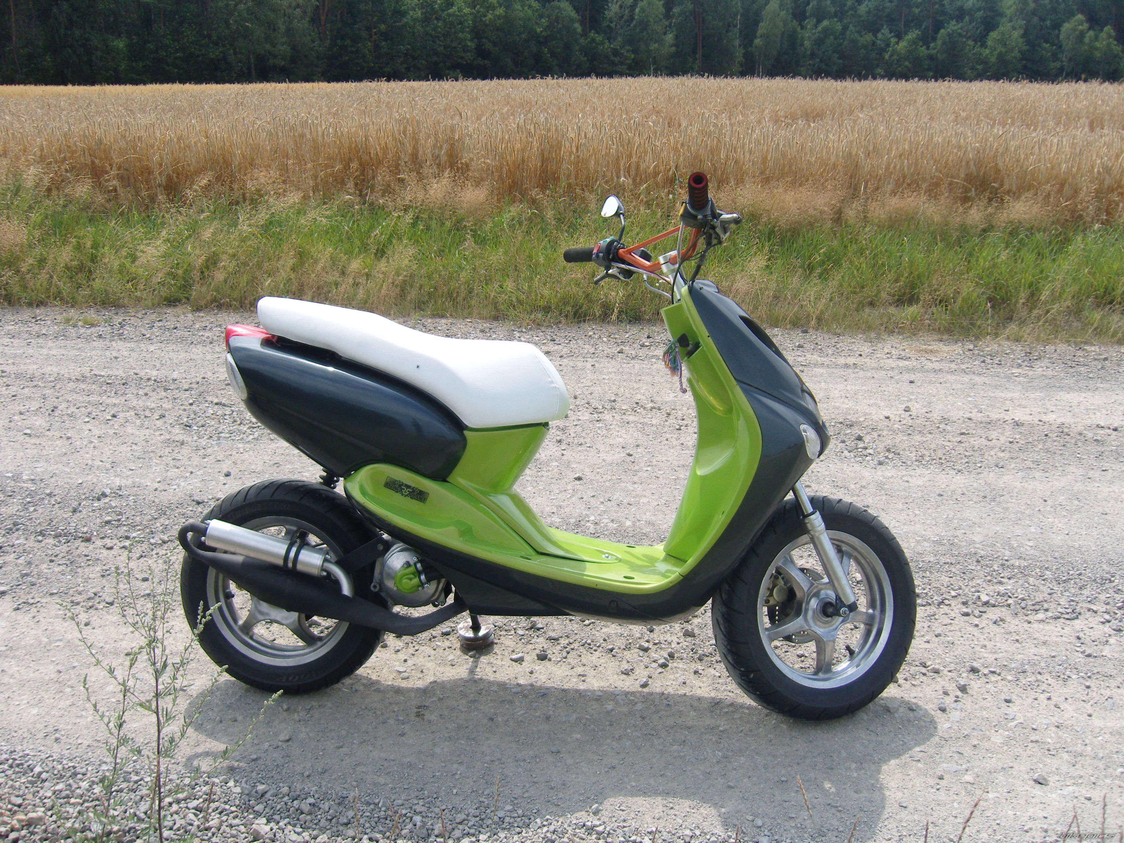 Photo 2433398