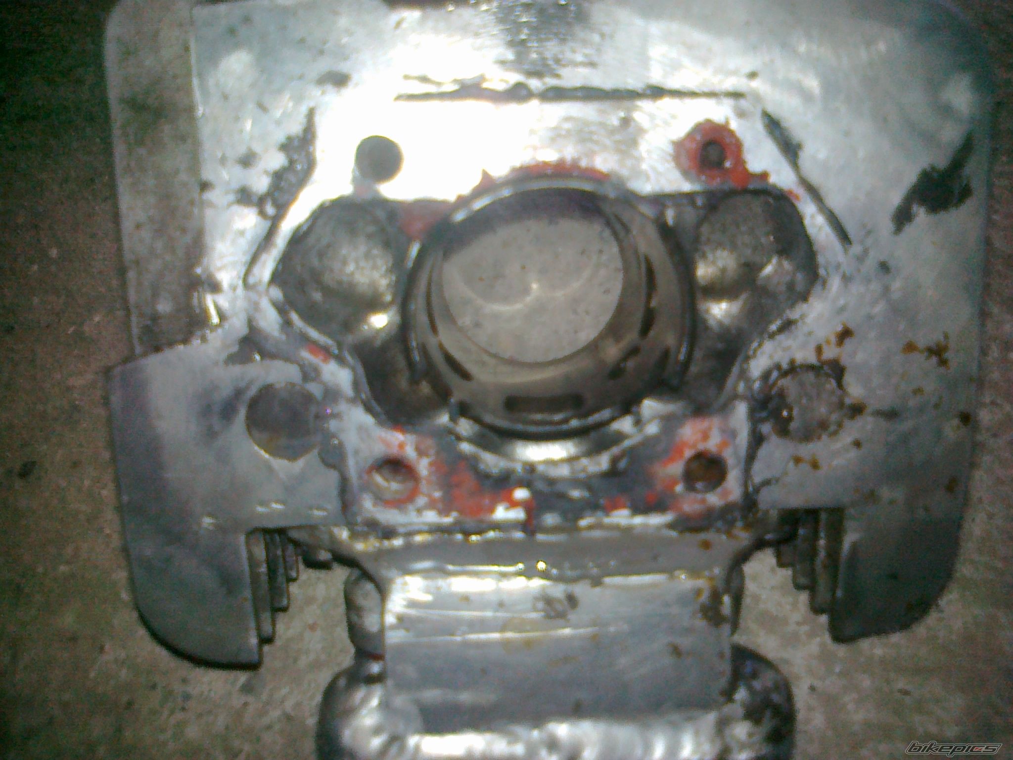 Photo 2433528