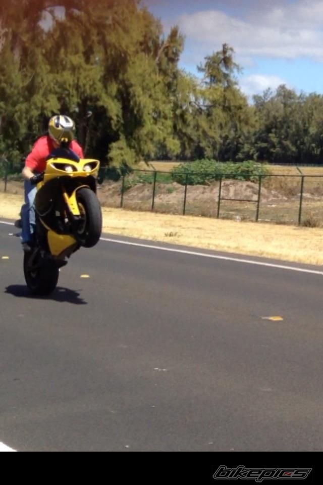 Photo 2433582