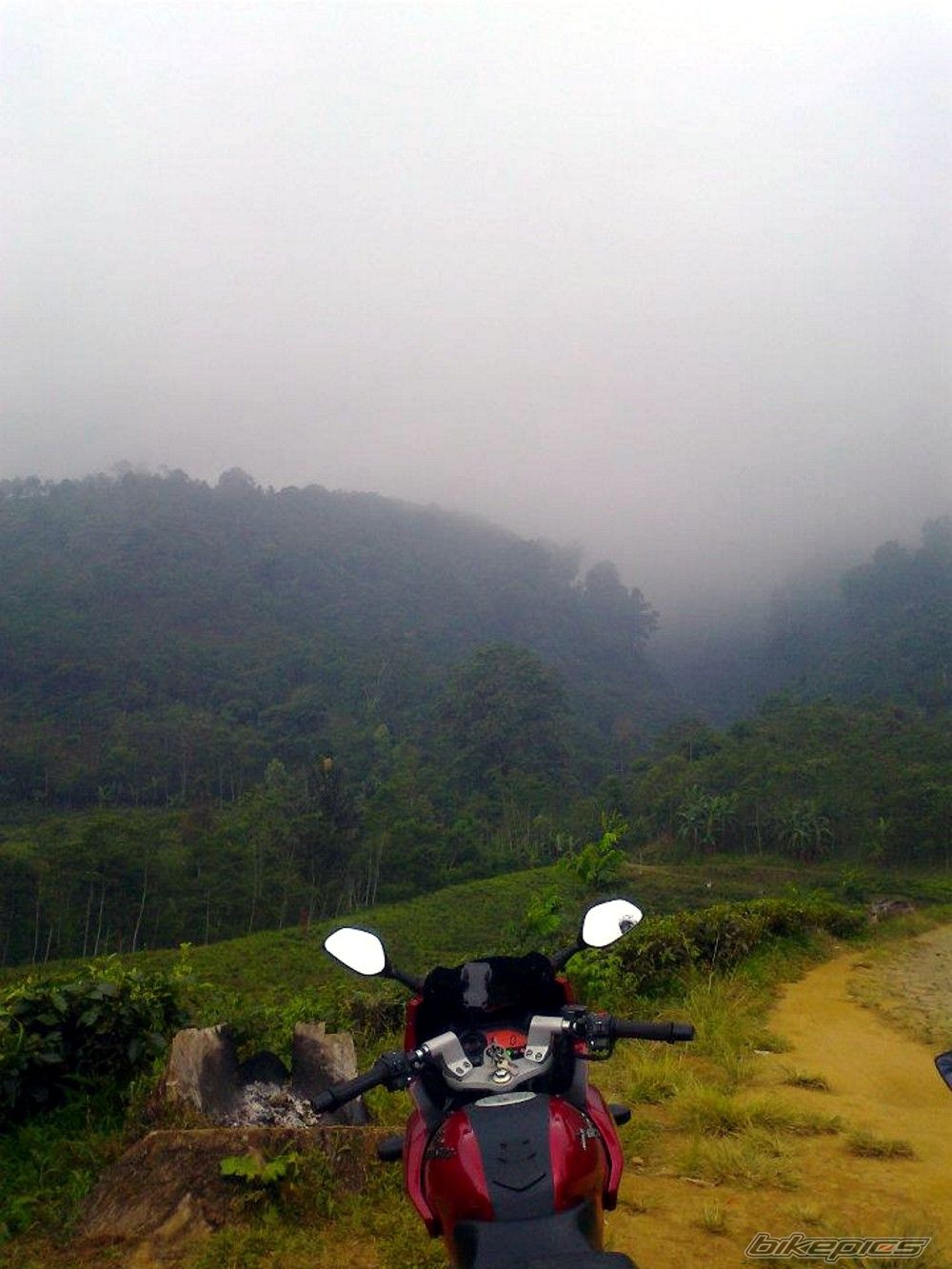 Photo 2433684