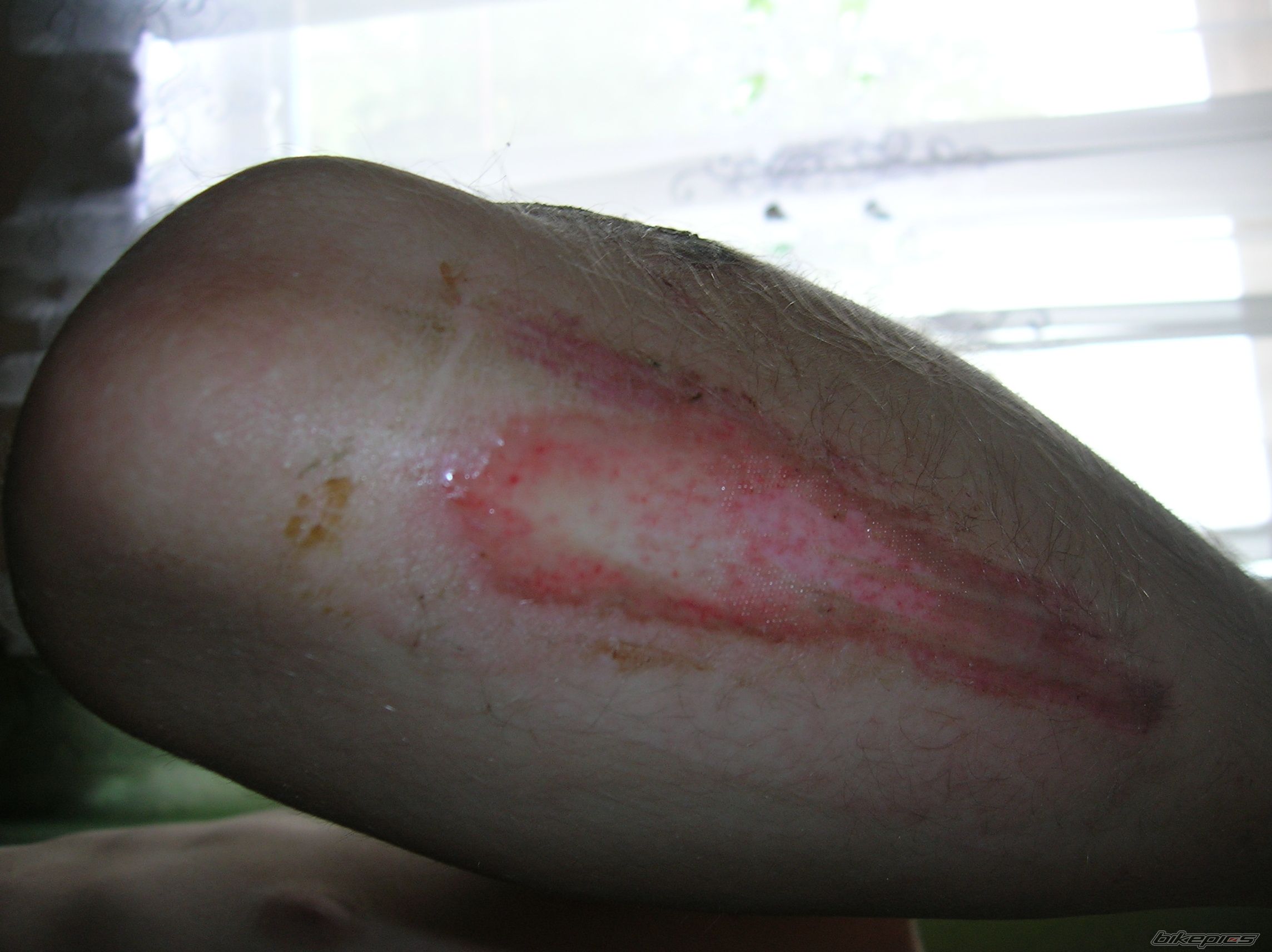 Bike Photo 2433721
