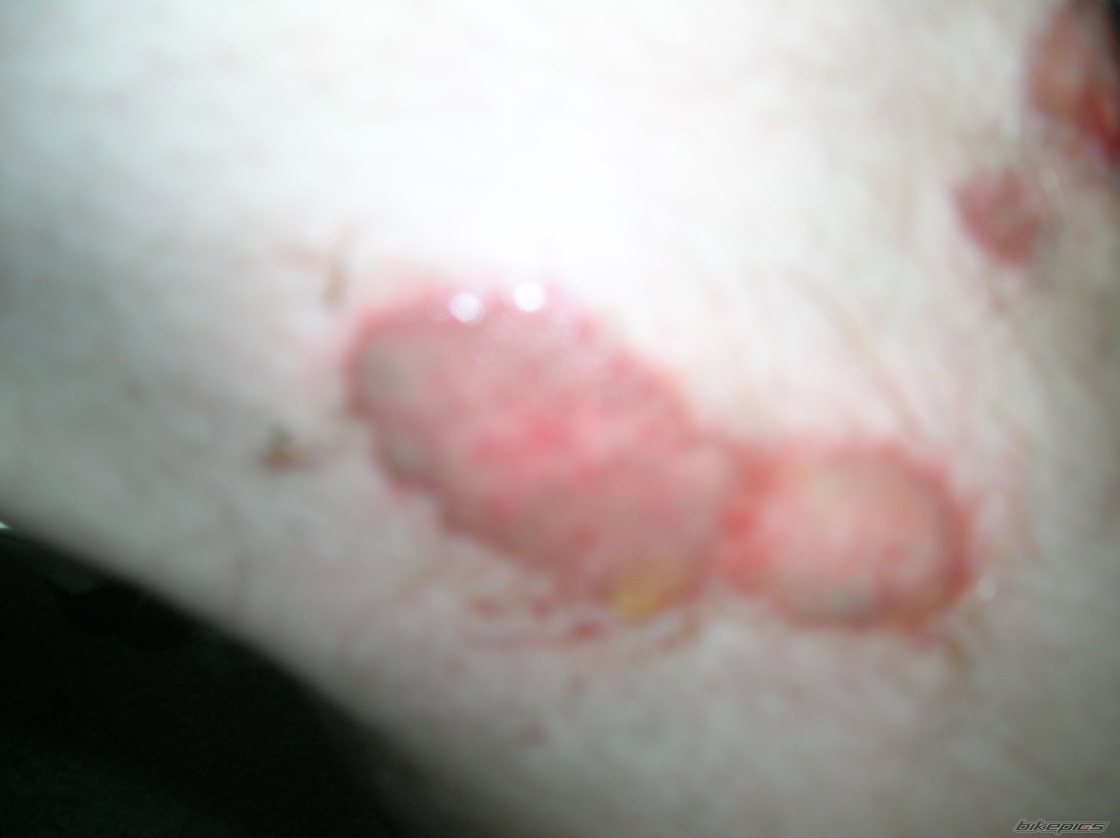 Photo 2433722