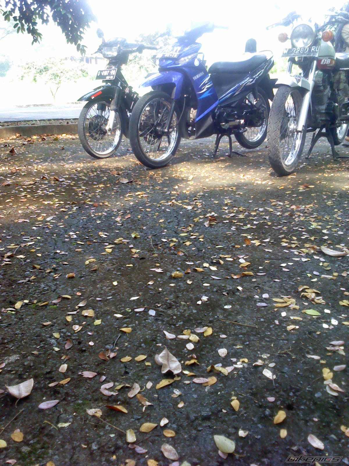 Bike Photo 2433778