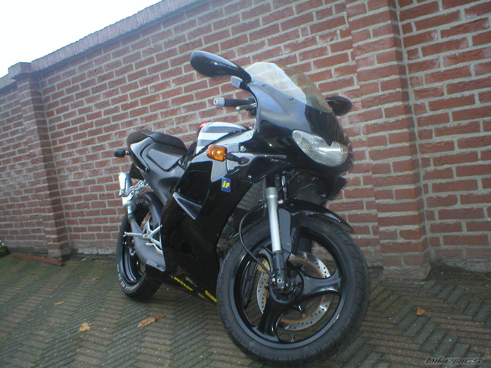 Photo 243392