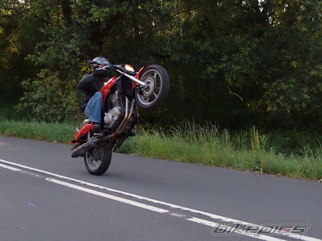 Bike Photo 2433925