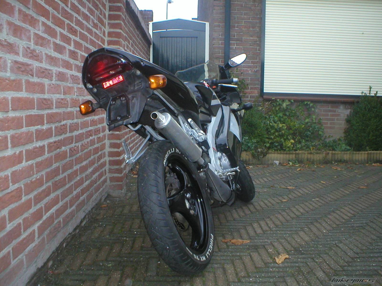 Photo 243393