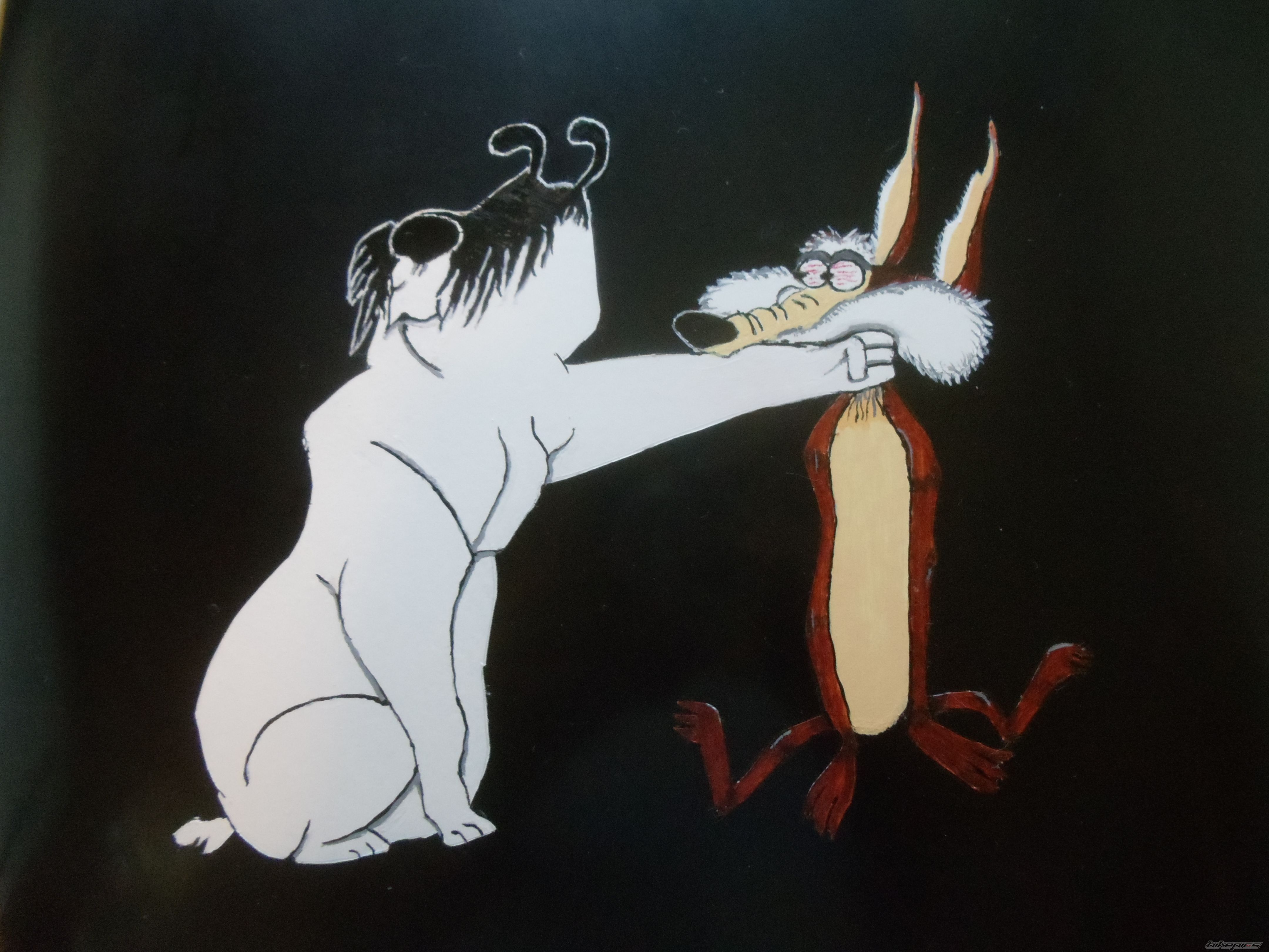Photo 2433981