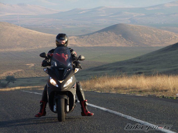 Photo 2433985
