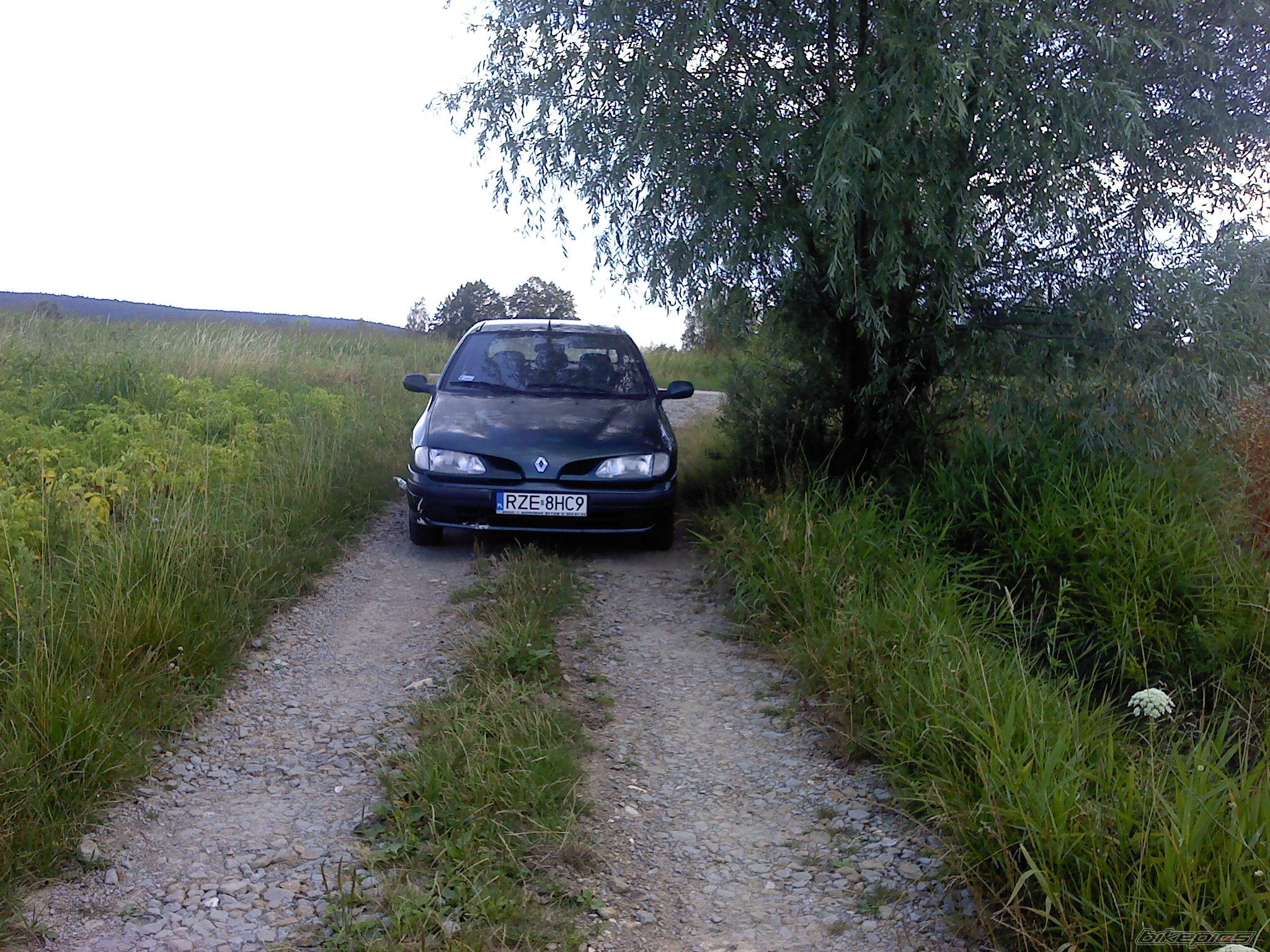 Photo 2434046