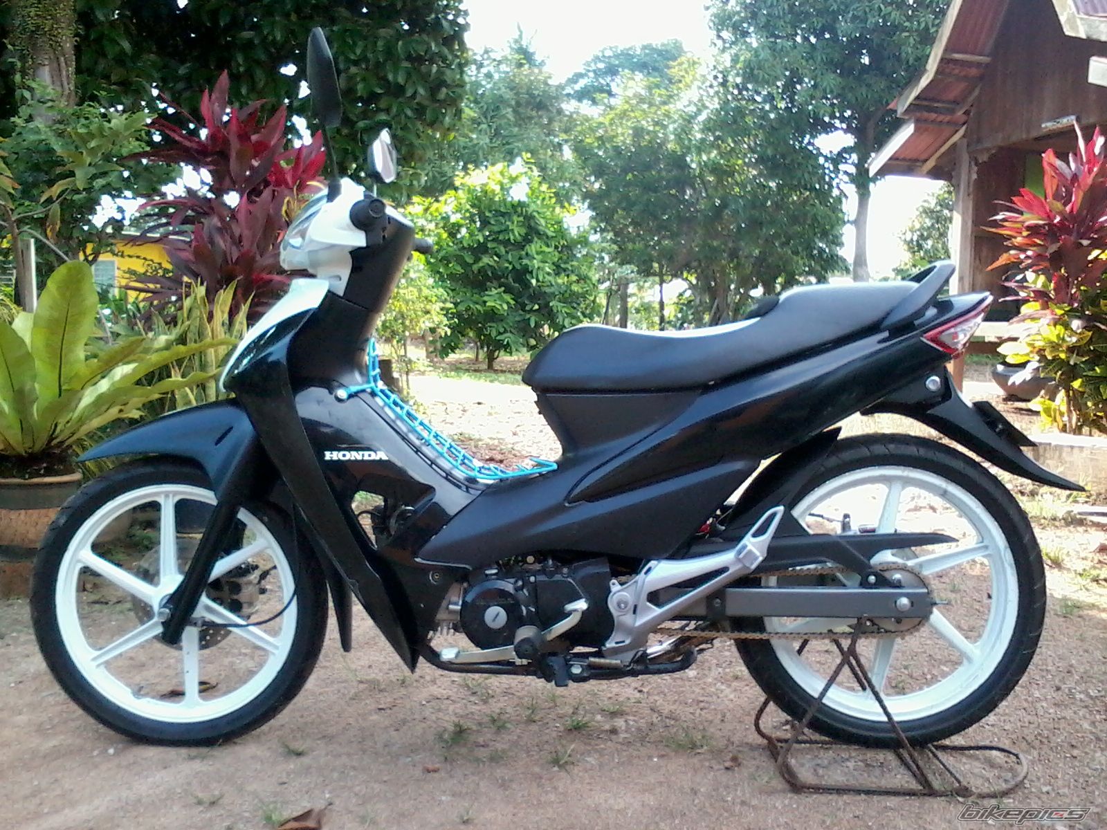Photo 2434060