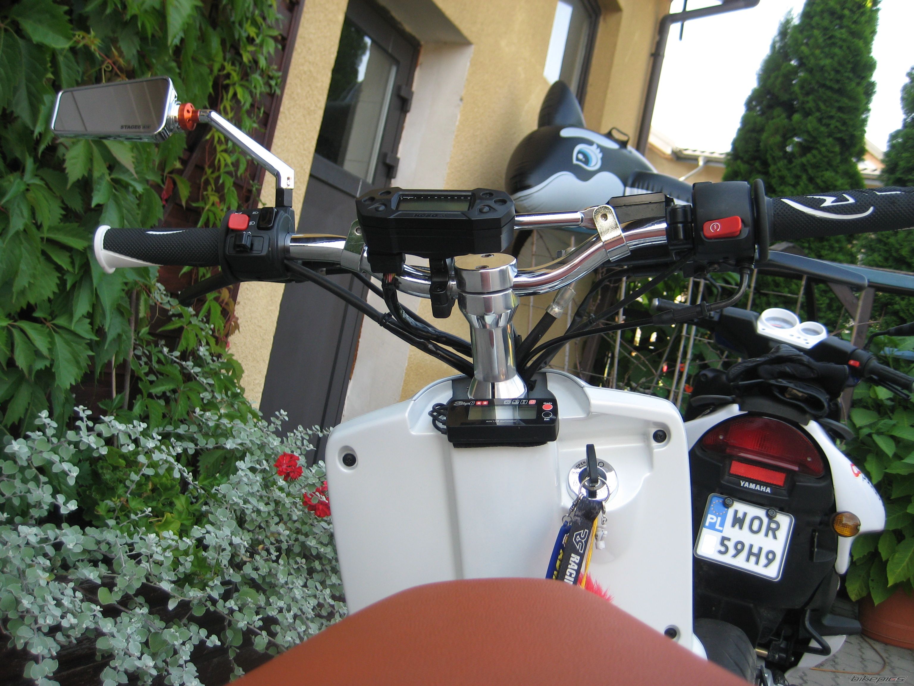 Photo 2434189