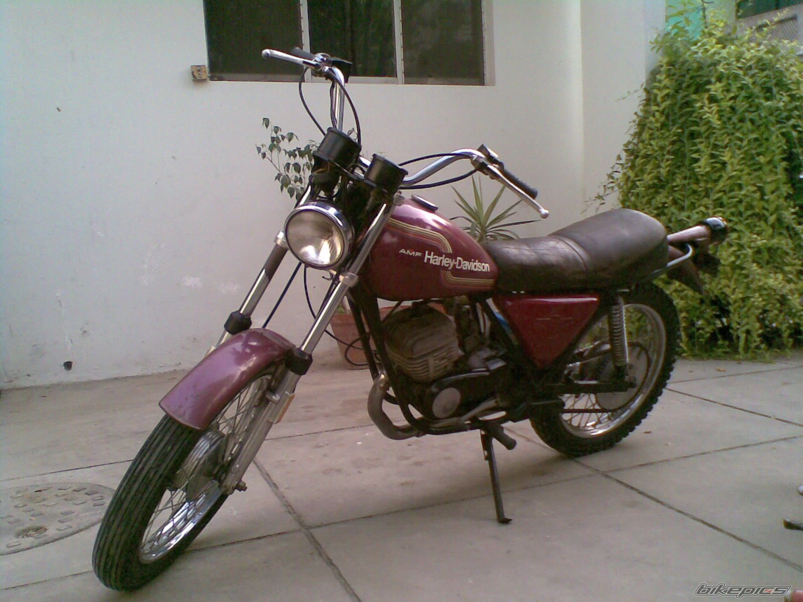 Photo 2434278