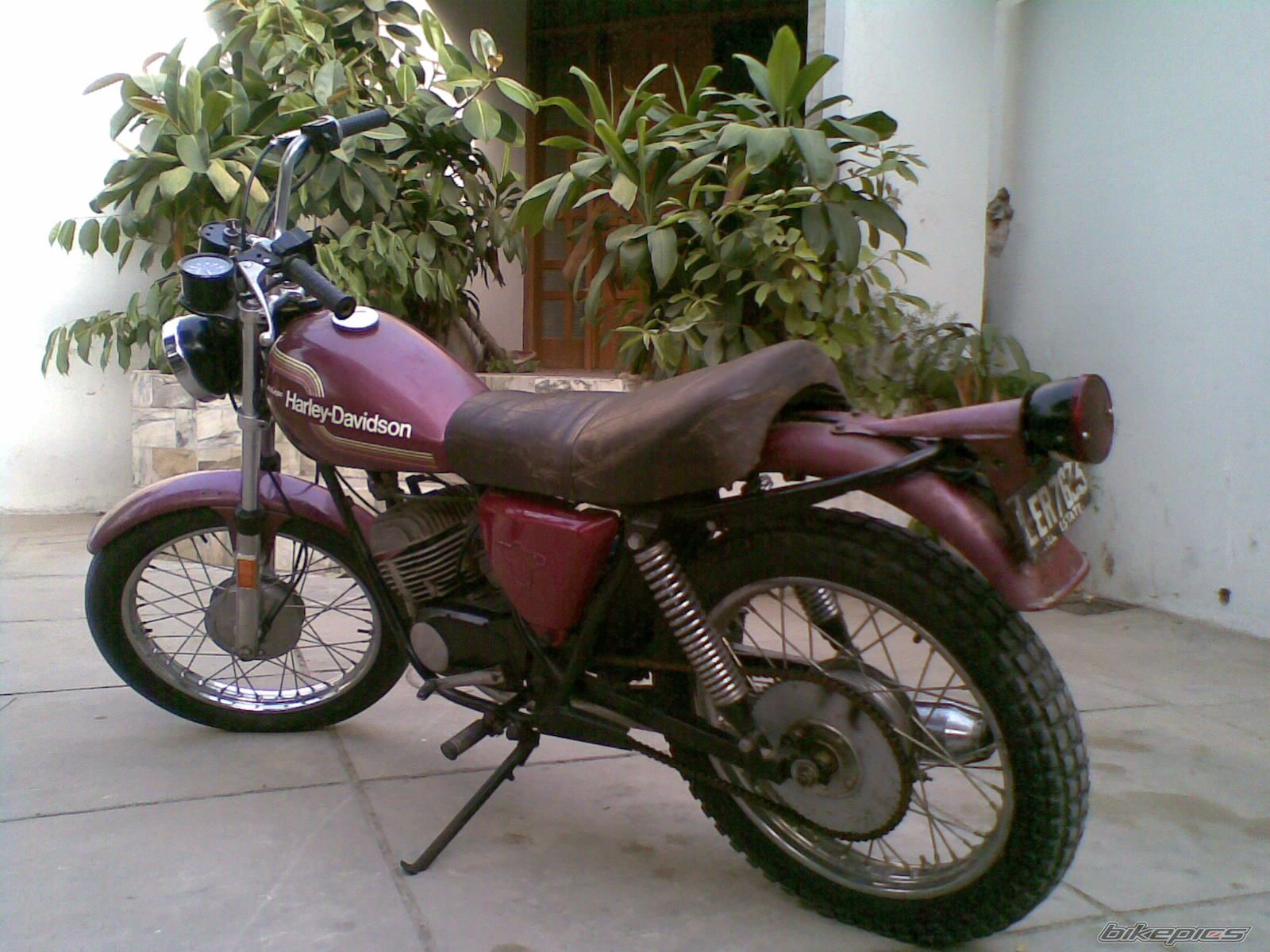 Photo 2434279