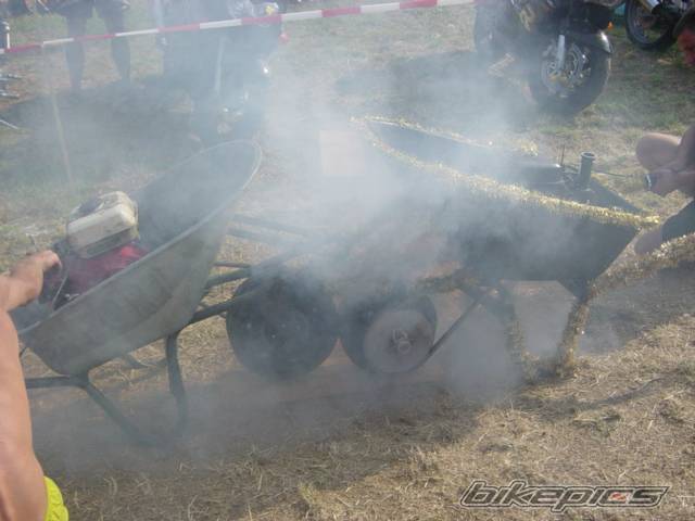 Photo 243432
