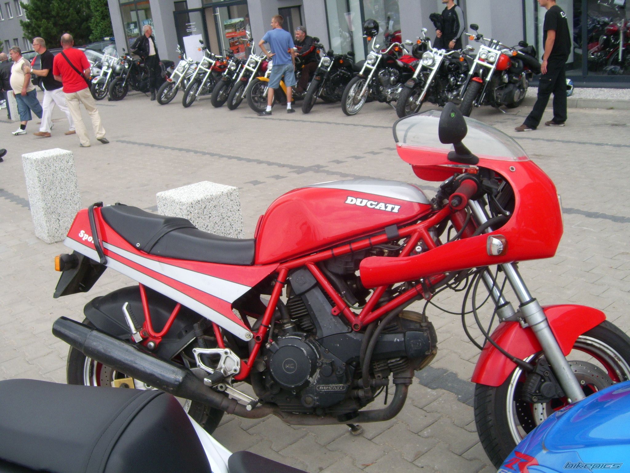 Photo 2434387