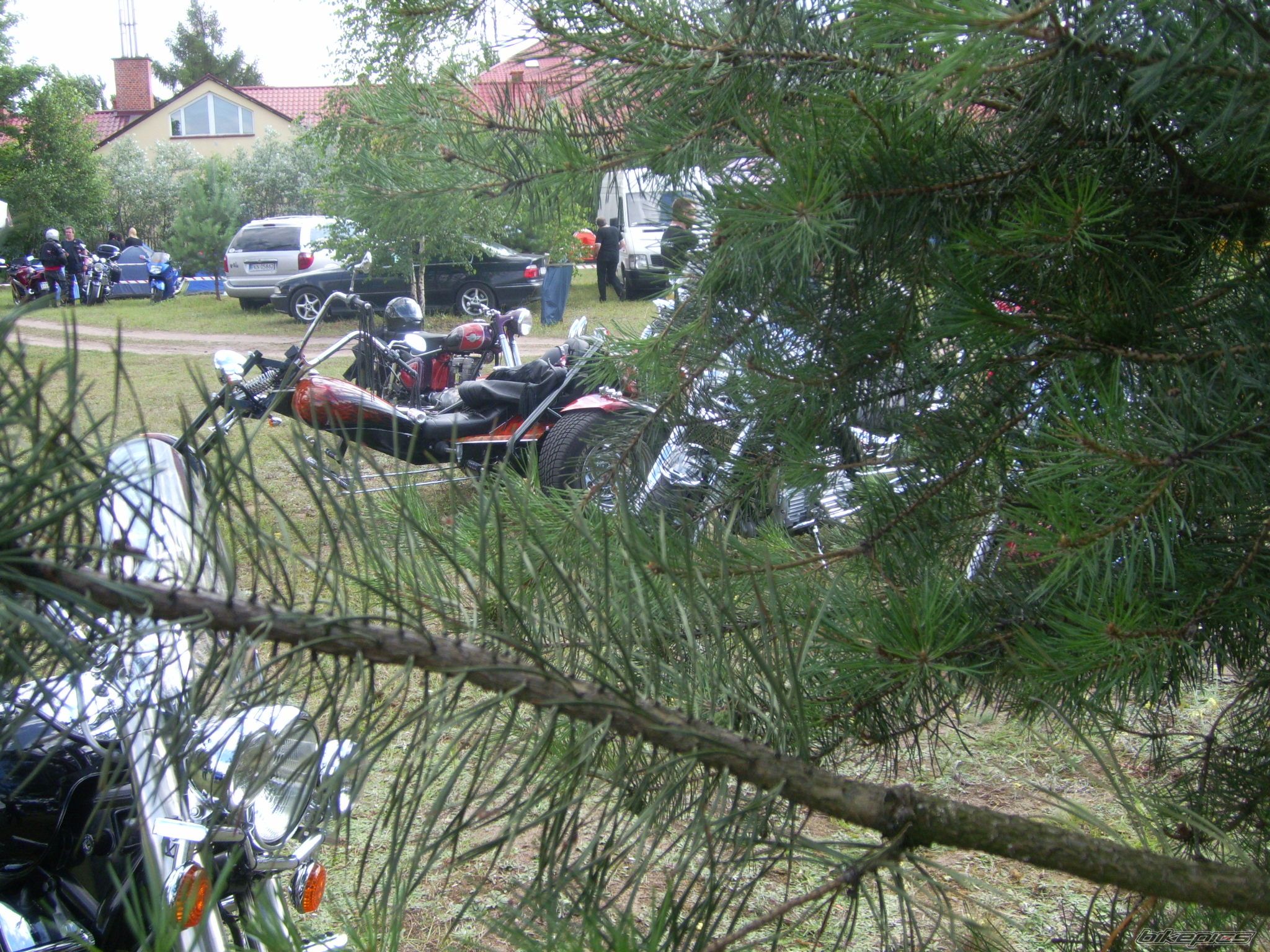 Photo 2434397