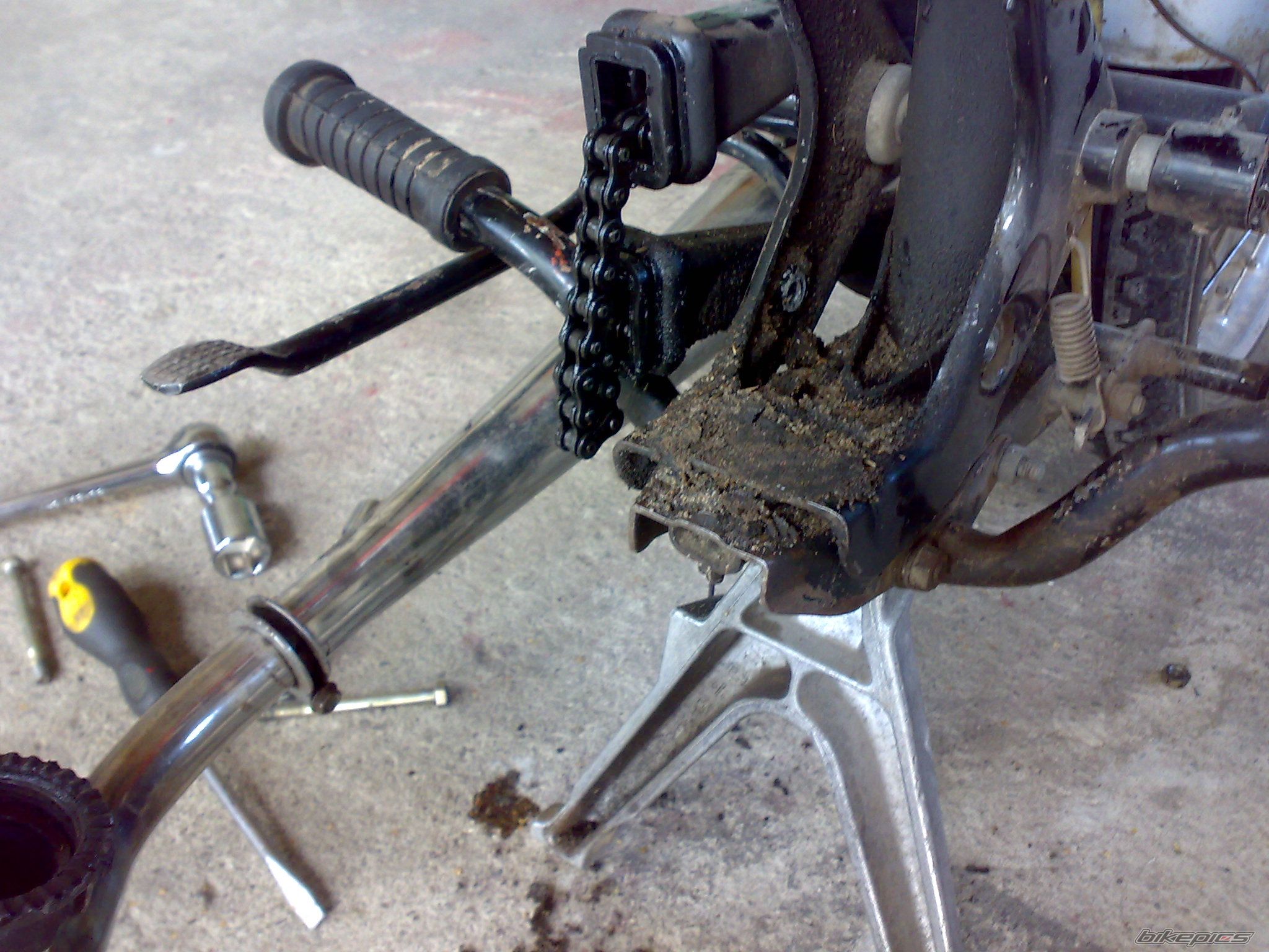 Photo 2434454