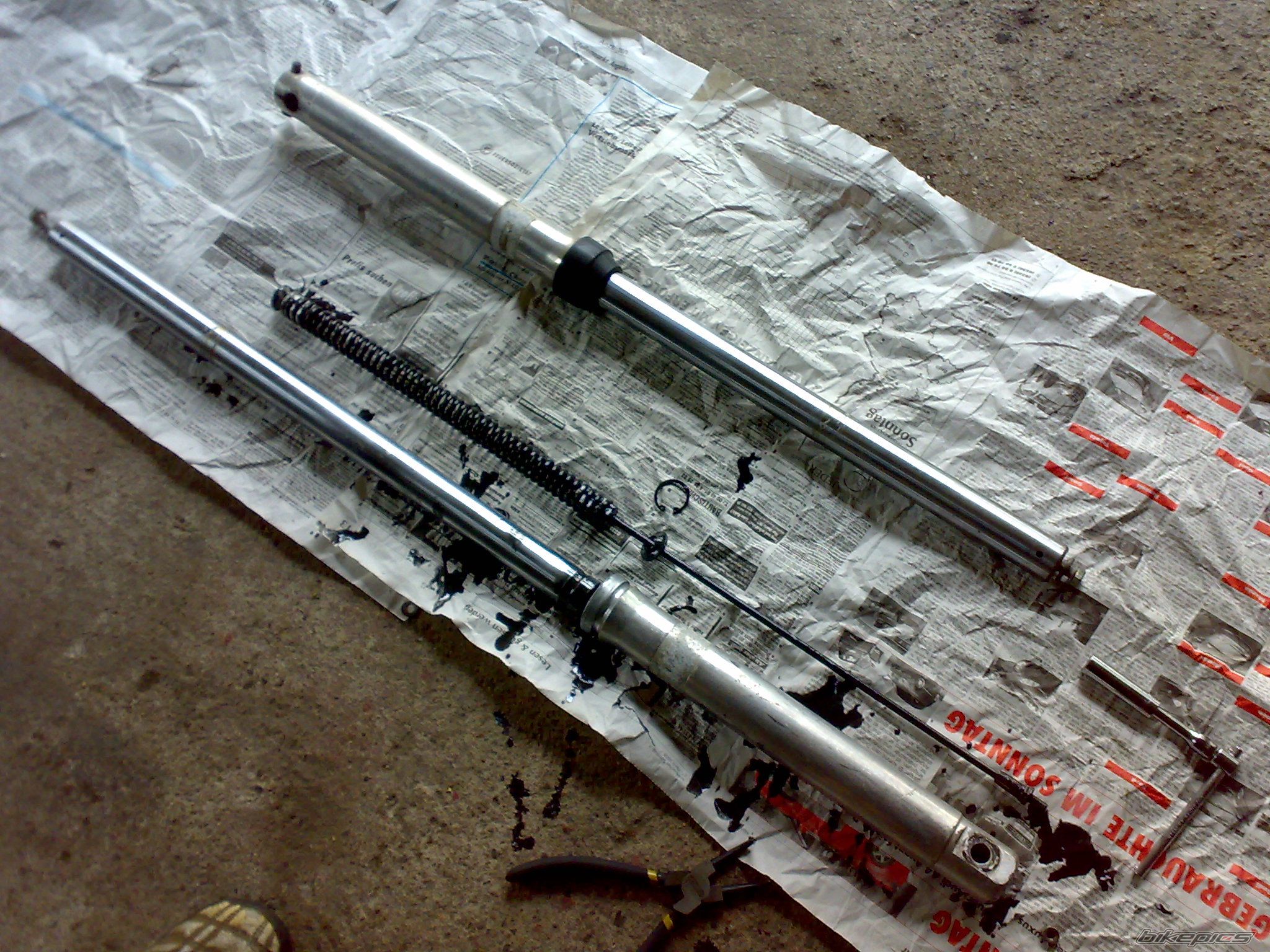 Photo 2434477