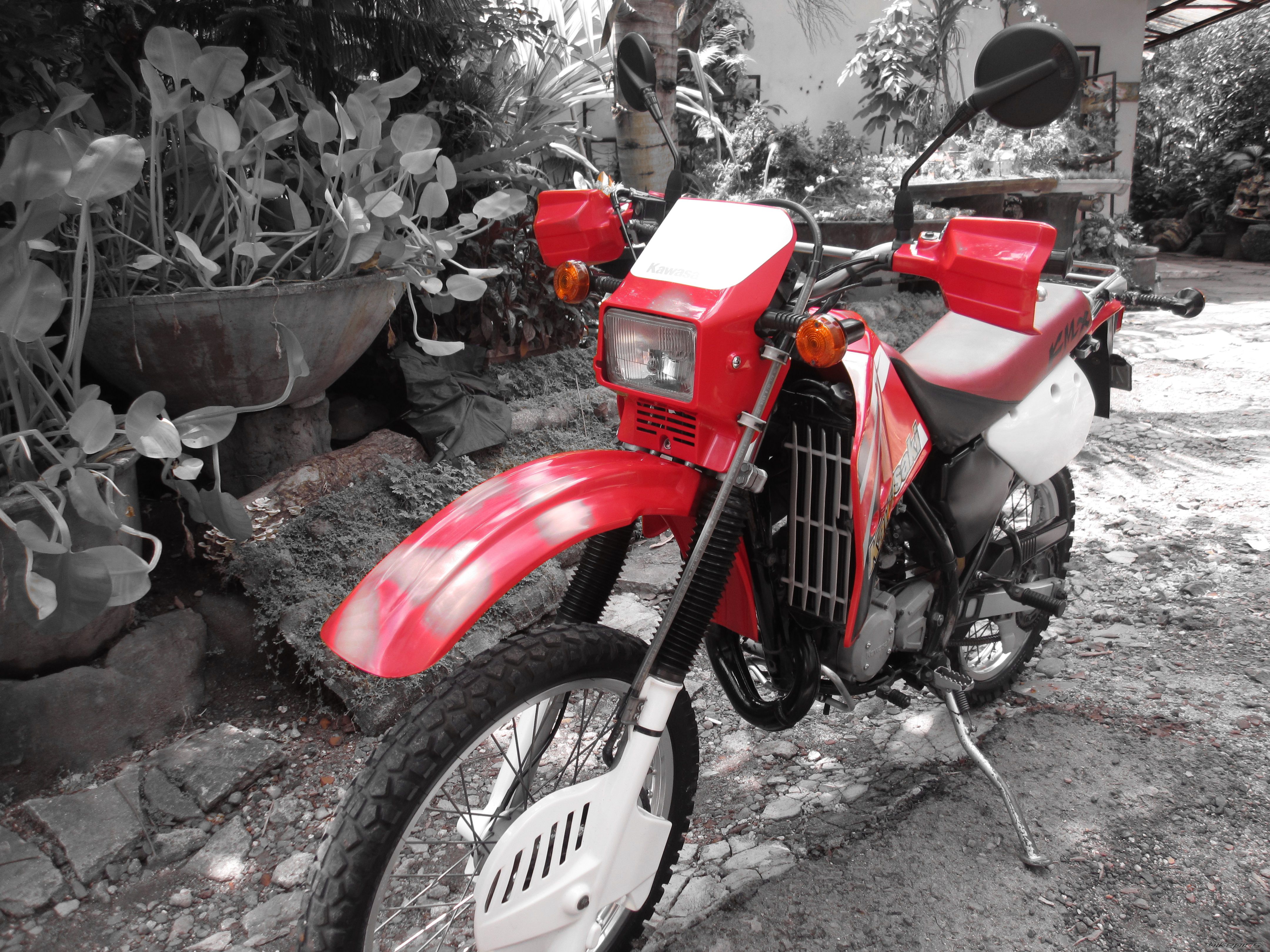 Photo 2434707