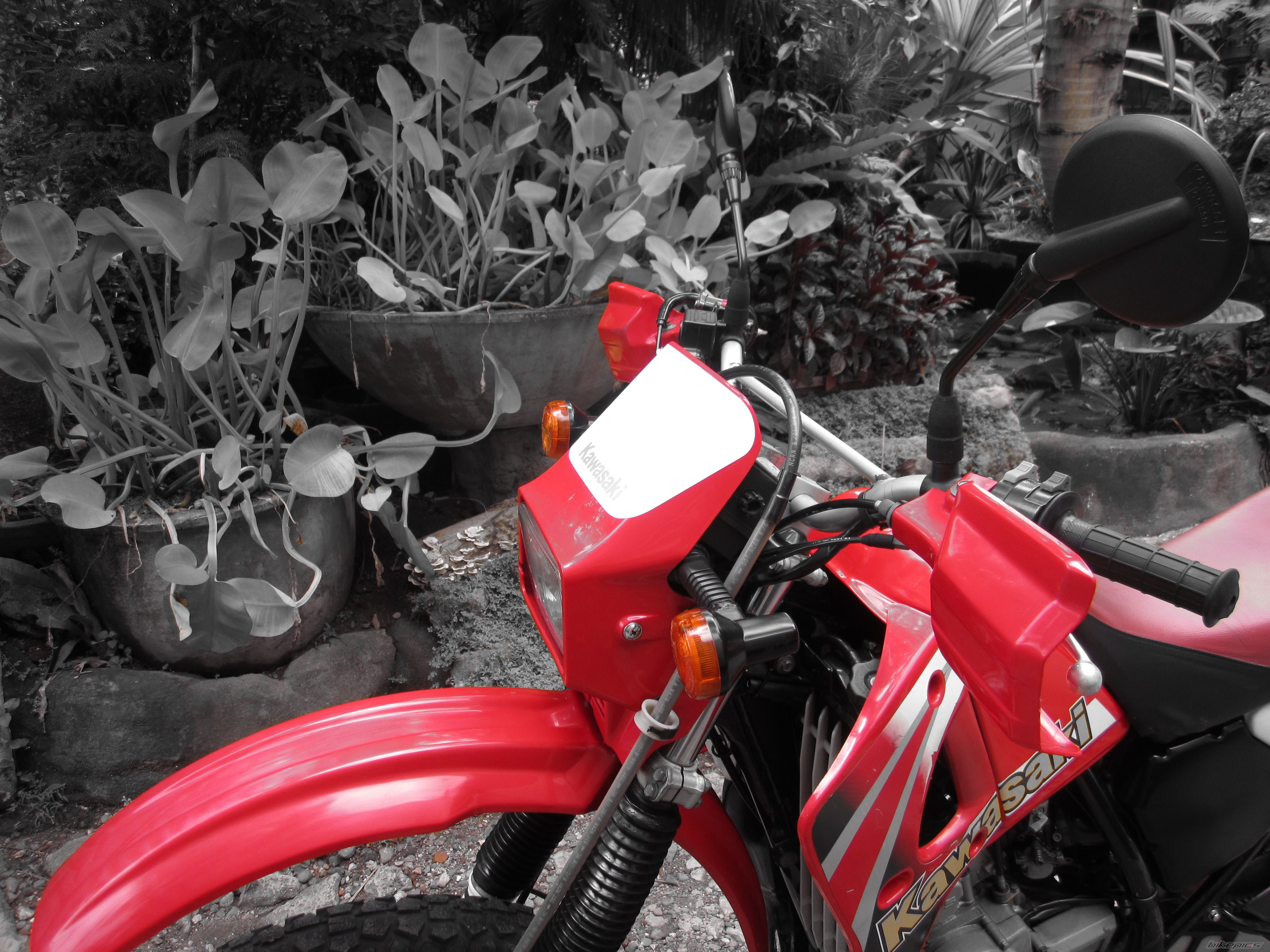 Photo 2434713