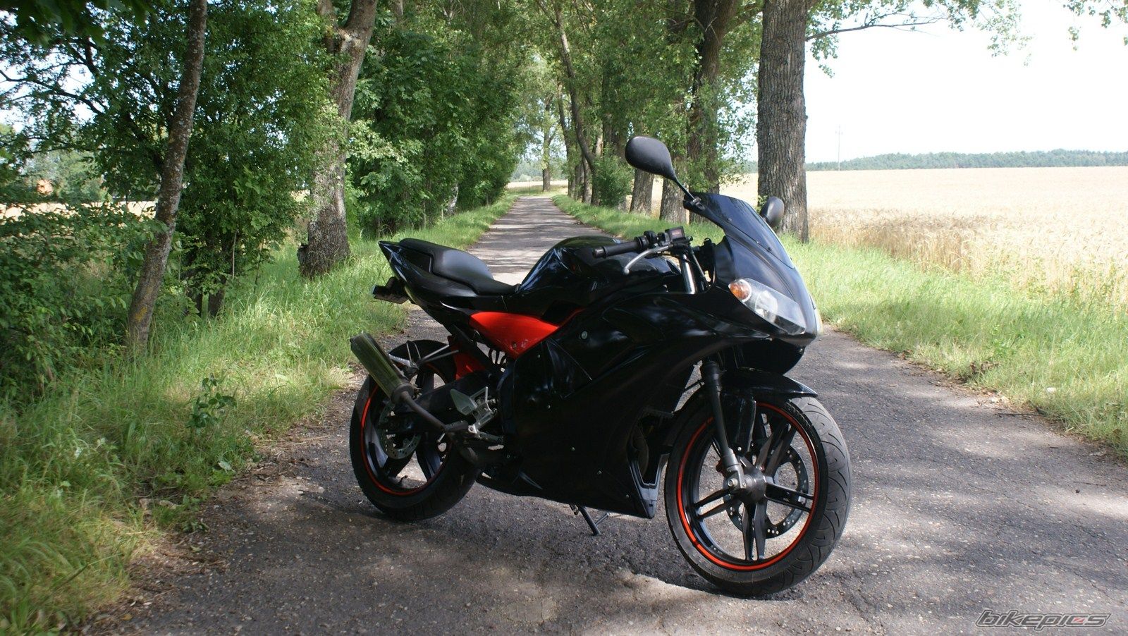 Photo 2434792