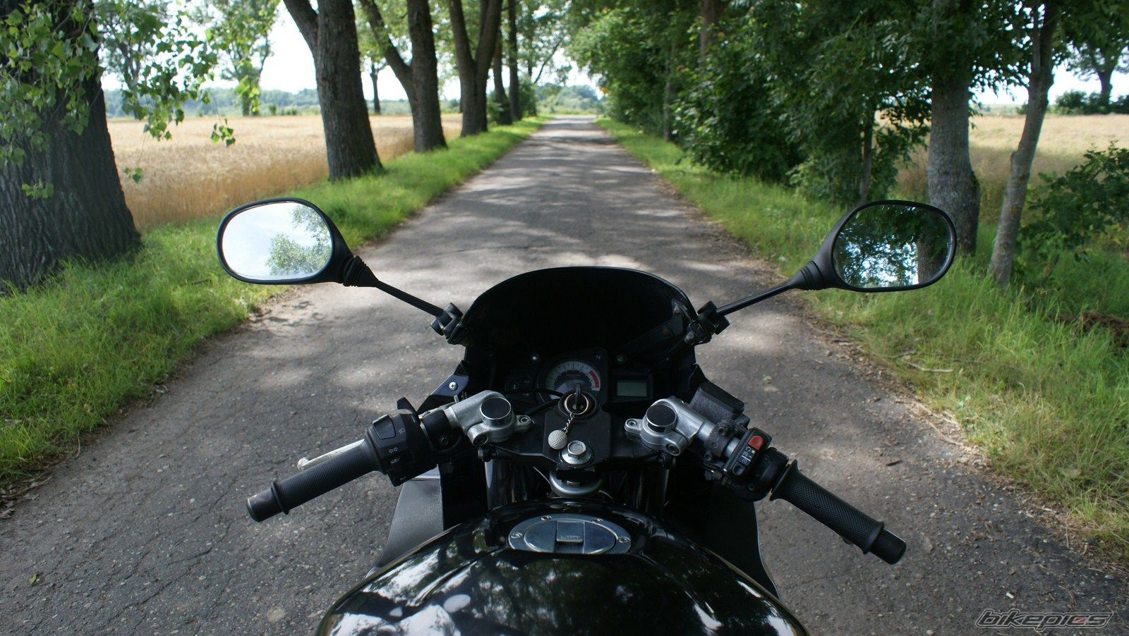 Photo 2434810