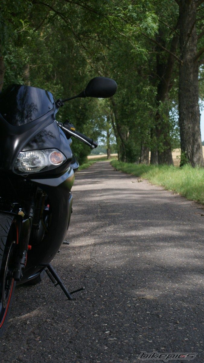 Photo 2434812