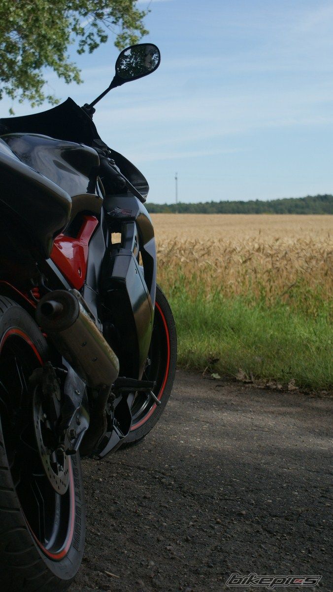 Photo 2434813