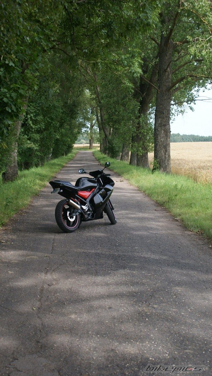 Photo 2434816
