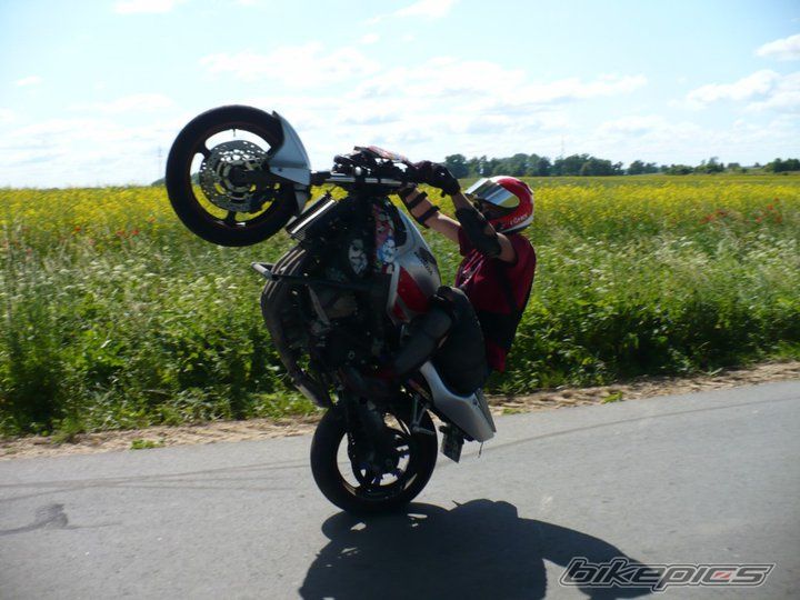 Photo 2434822