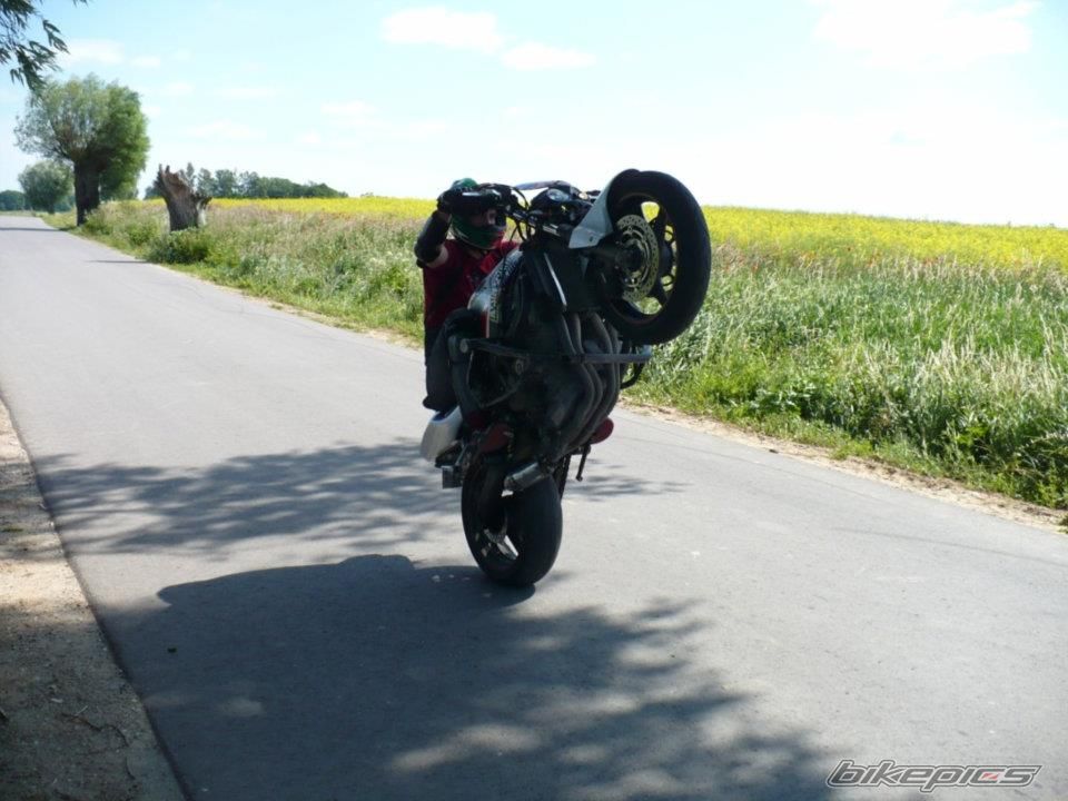 Photo 2434823