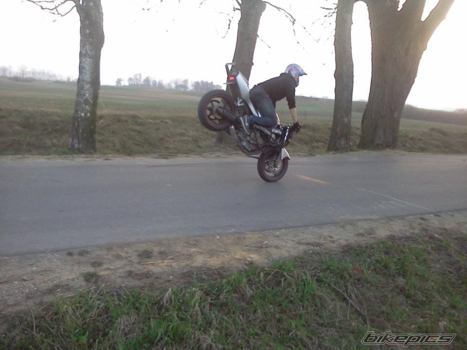 Photo 2434826