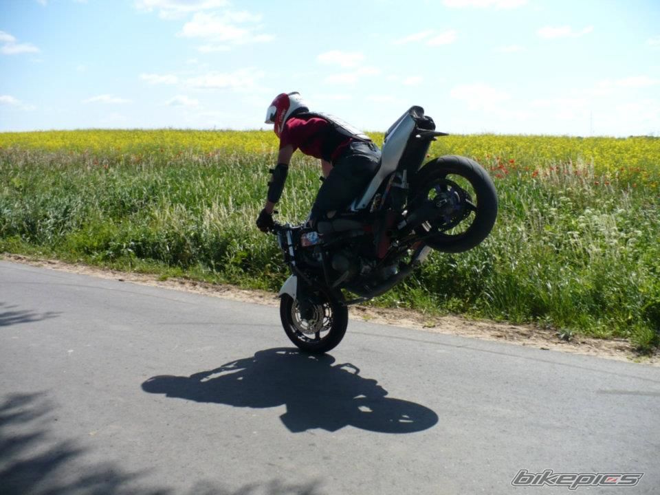 Photo 2434828