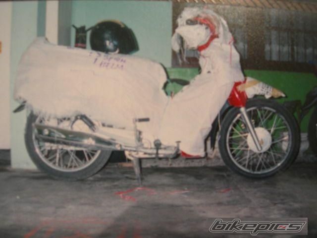 Photo 2434919