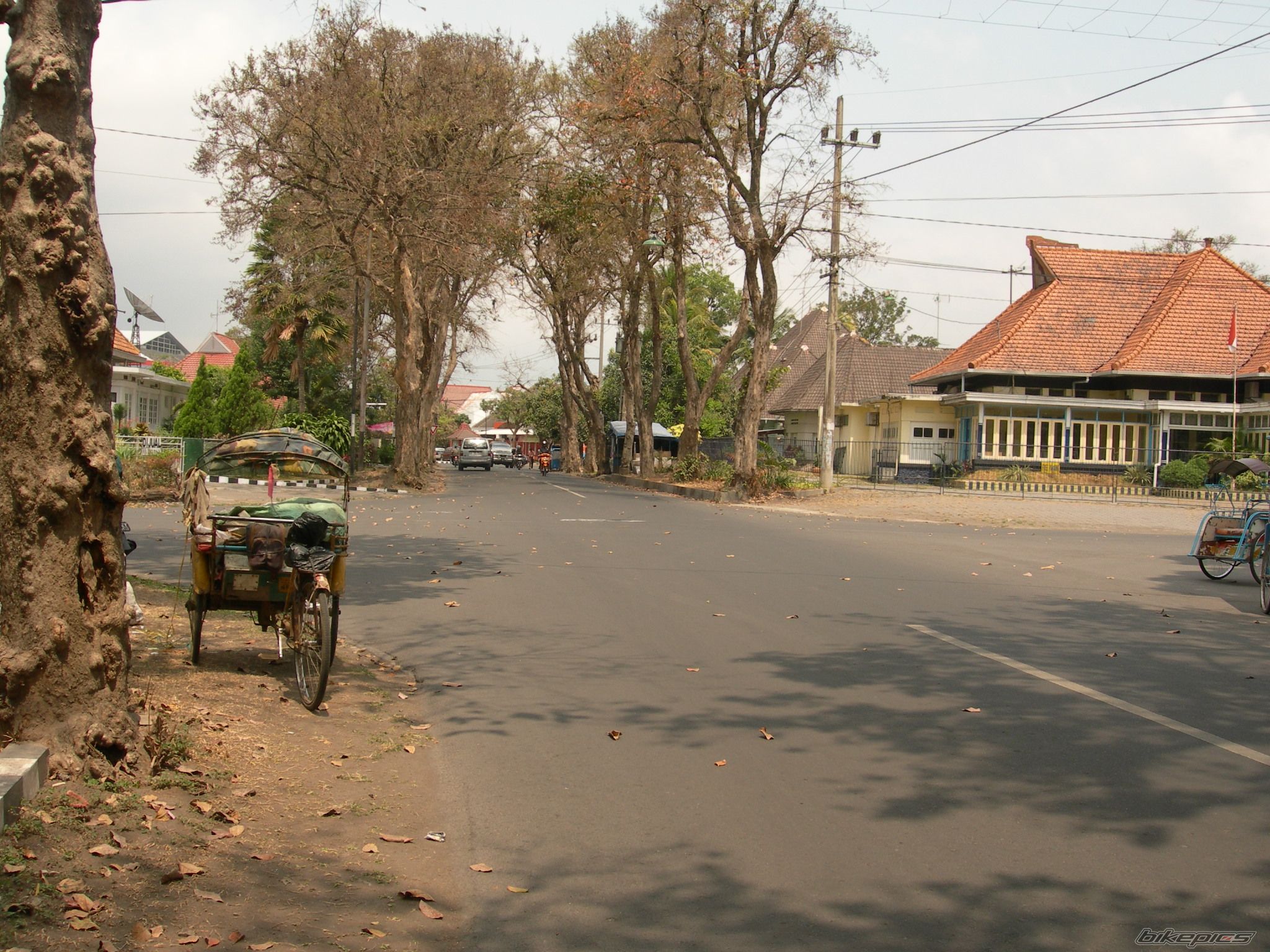 Photo 2434929