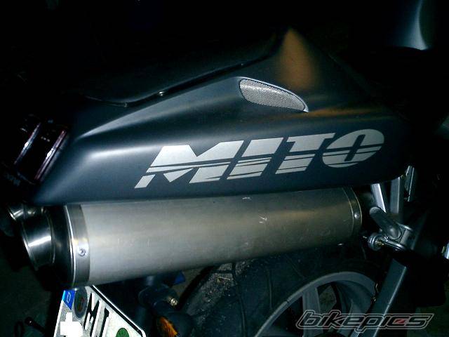 Photo 243505