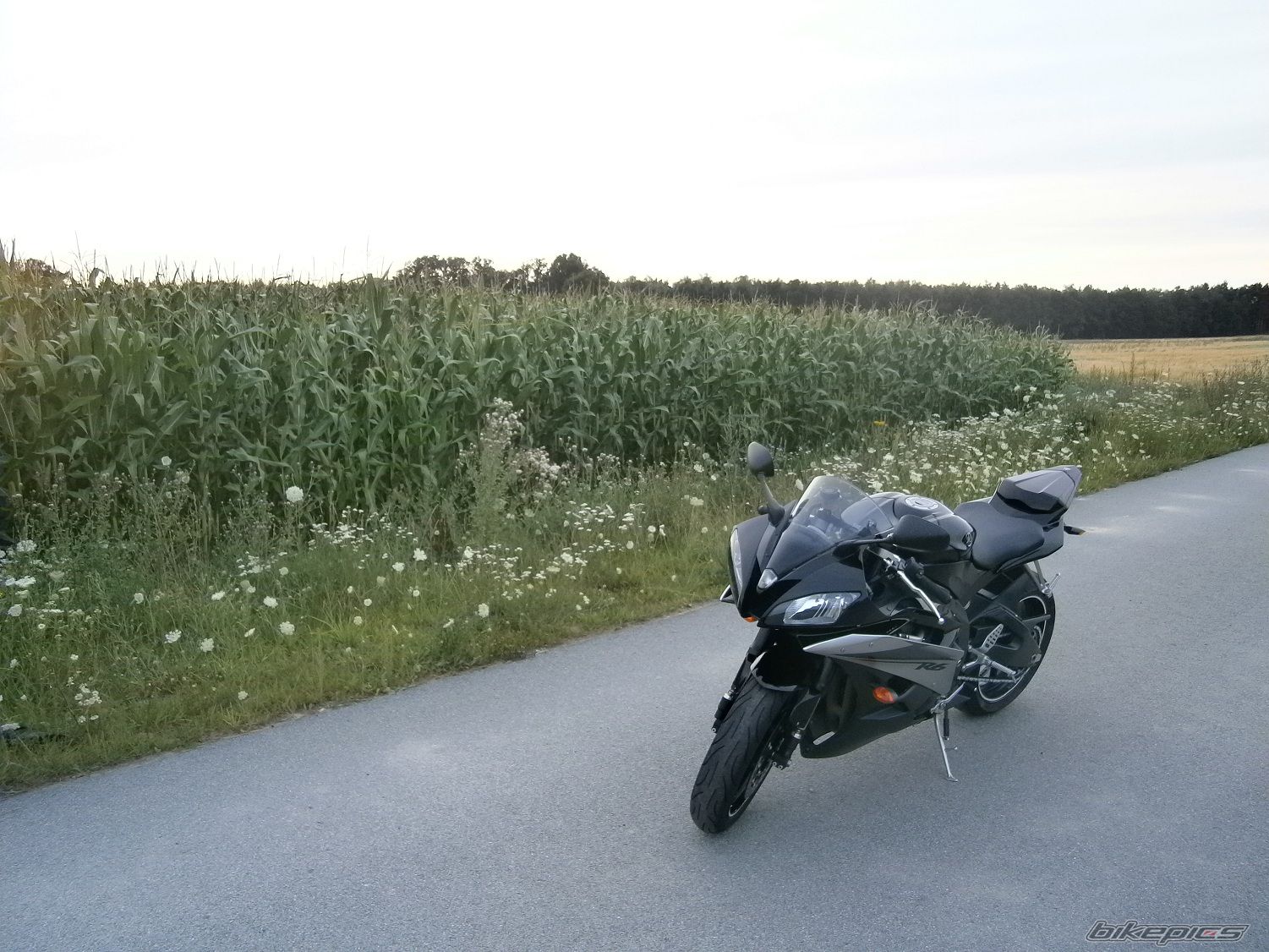 Bike Photo 2435127